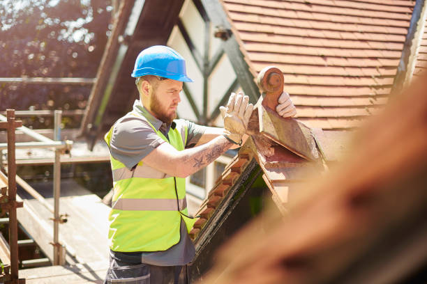 Best Roof Gutter Cleaning  in Mystic Island, NJ
