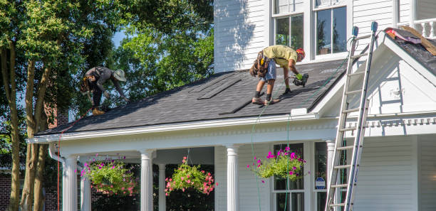 Best Roof Gutter Cleaning  in Mystic Island, NJ